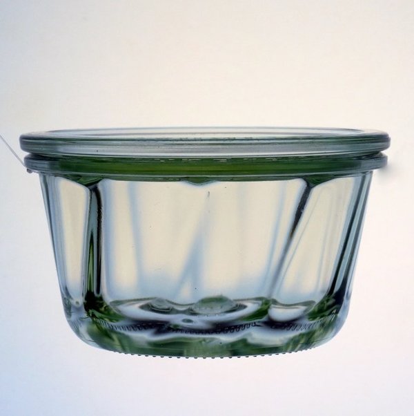 6 WECK Gugelhupf Gläser 280ml Art. 568 RR100 mit Glasdeckel und Auswahl Zubehör